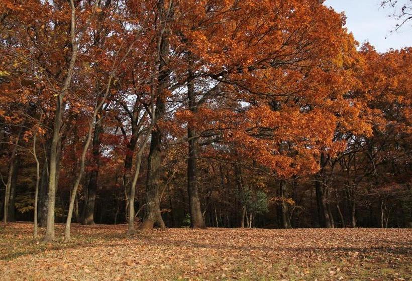 בית מלון כפרי Royal Inn Kikusui