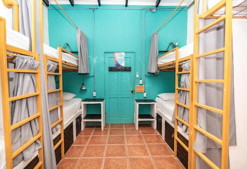 酒店 Selina Santa Teresa North   Hostel