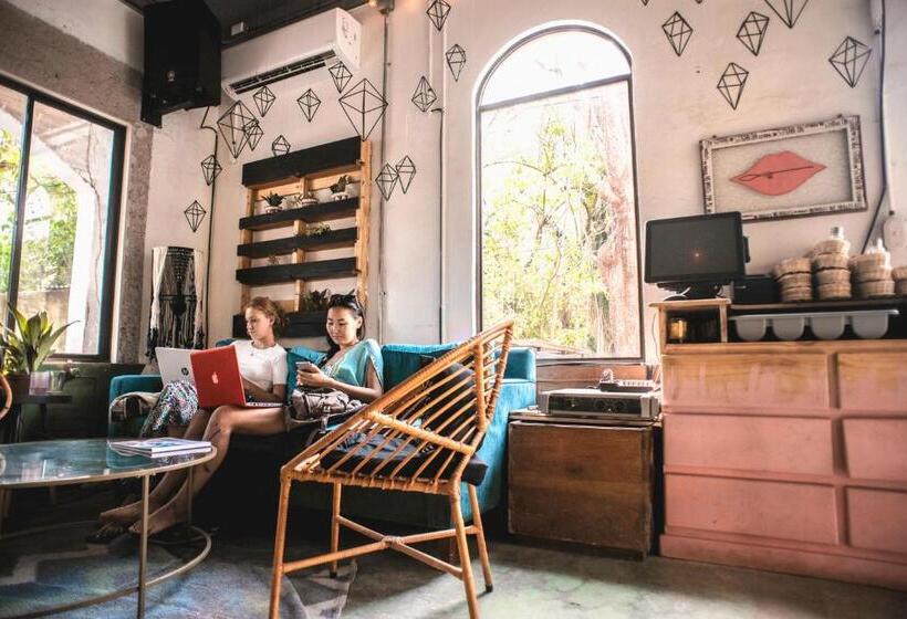 酒店 Selina Santa Teresa North   Hostel