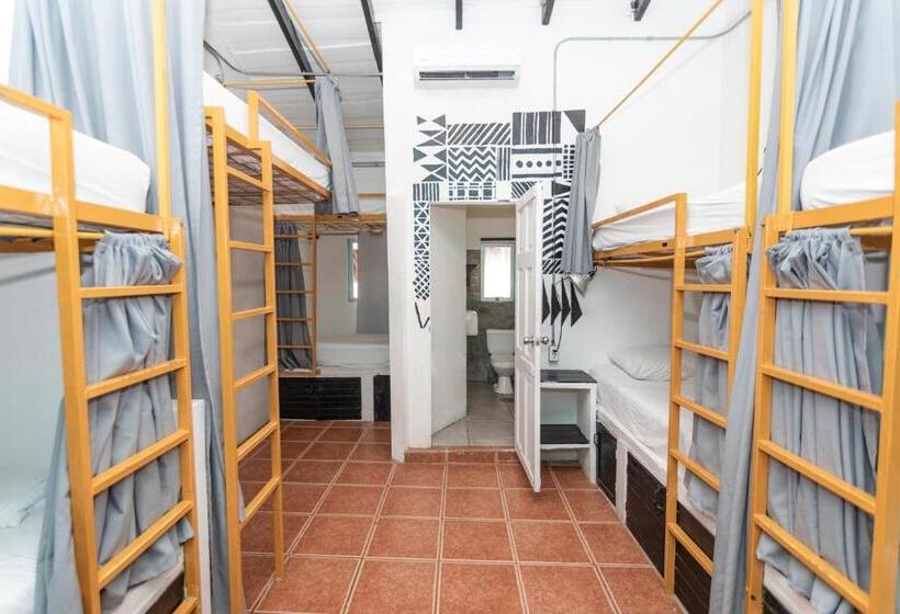 酒店 Selina Santa Teresa North   Hostel