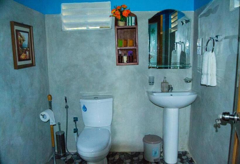 Отель Sigiri Heritage Villa