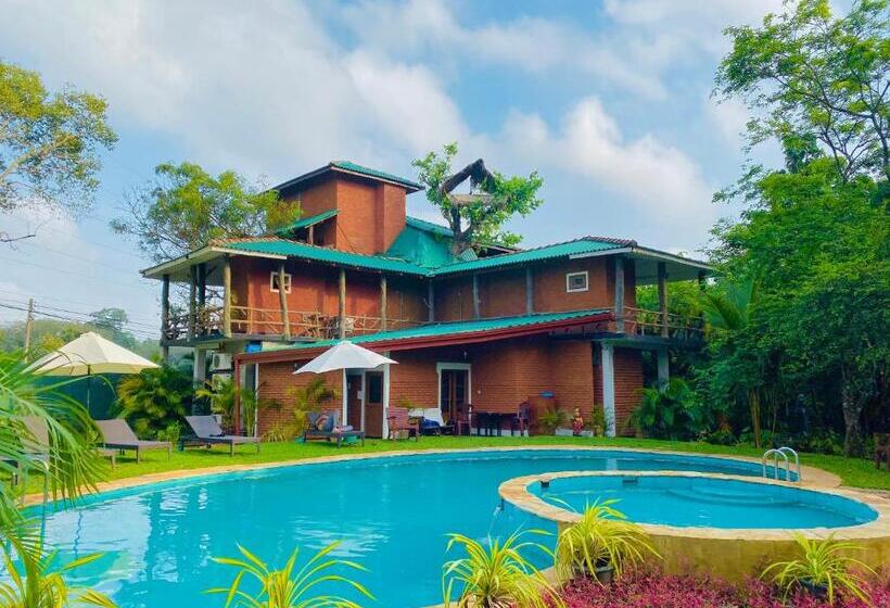 Отель Sigiri Heritage Villa