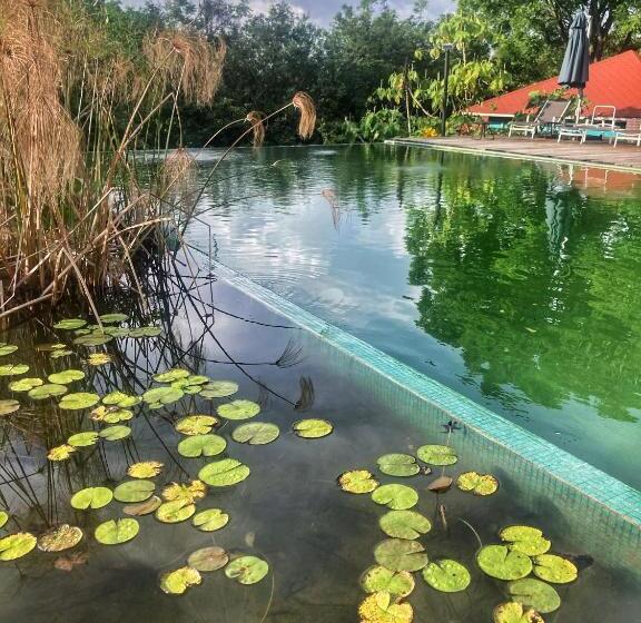 ホテル Winika Alterra