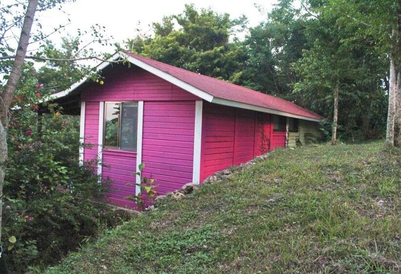 ホテル Winika Alterra