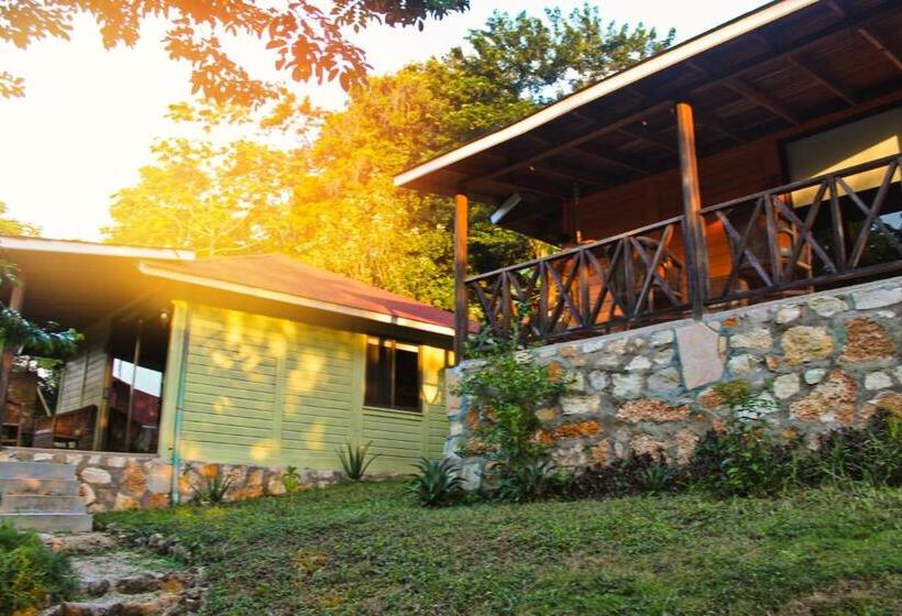 ホテル Winika Alterra