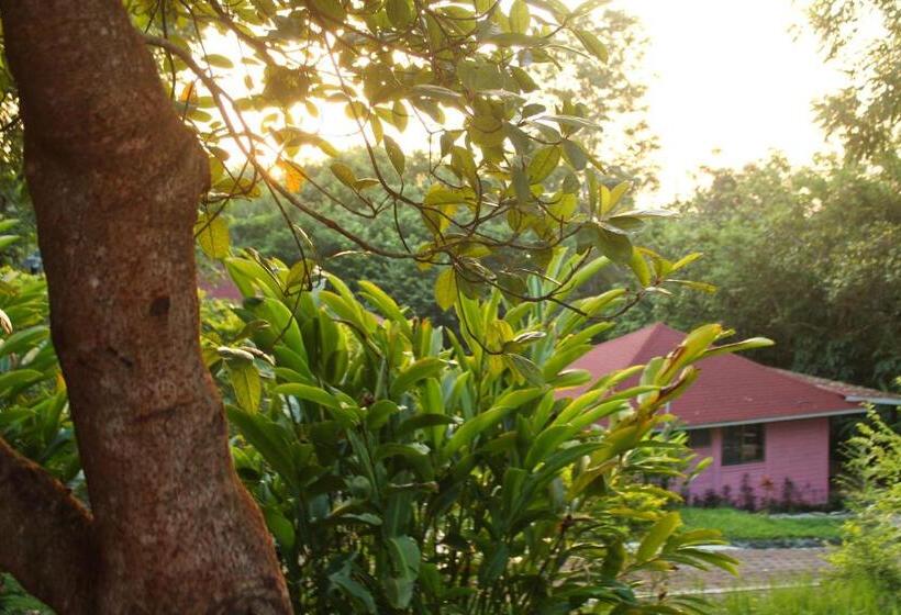 ホテル Winika Alterra