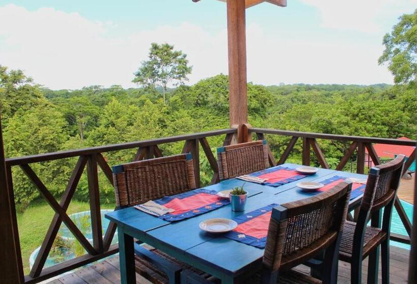 ホテル Winika Alterra