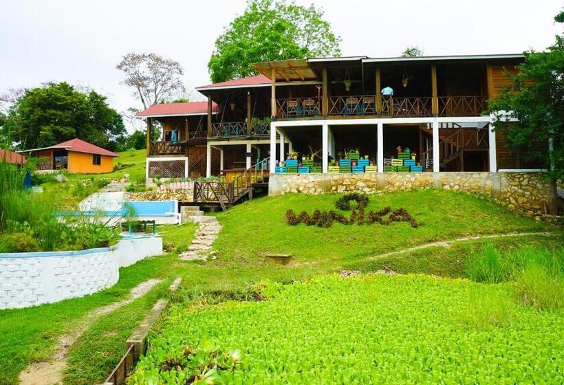 ホテル Winika Alterra