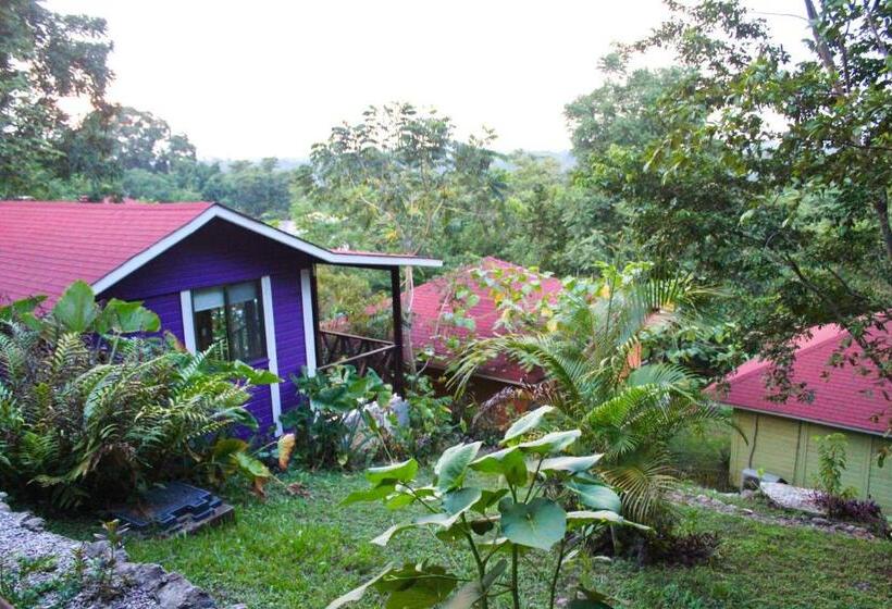 ホテル Winika Alterra