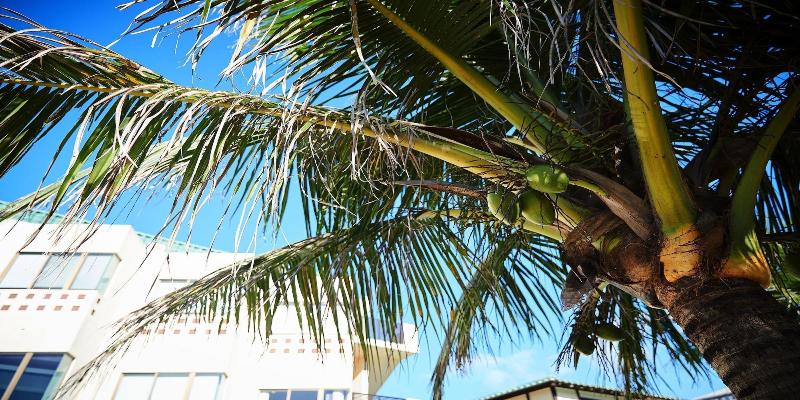 La Casa Panacea Okinawa Resort