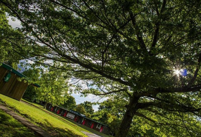 מוטל Tongariro Junction Accommodation