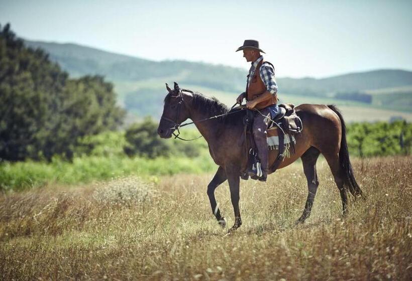 استراحتگاه Pescadores Suites Moalboal