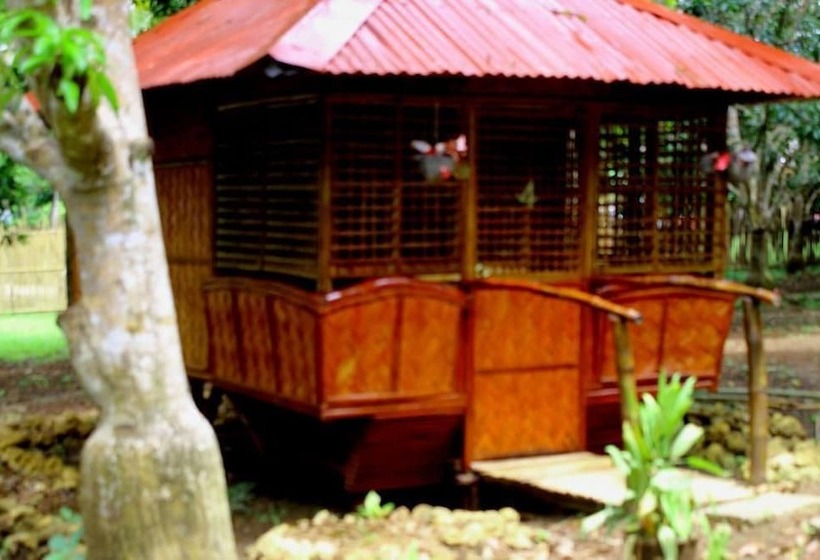 Al Hamra Jungle Resort