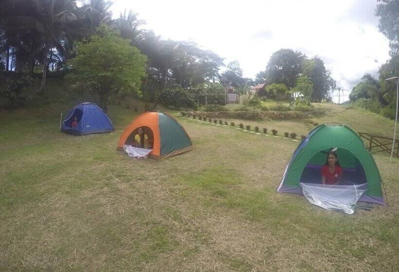 Al Hamra Jungle Resort