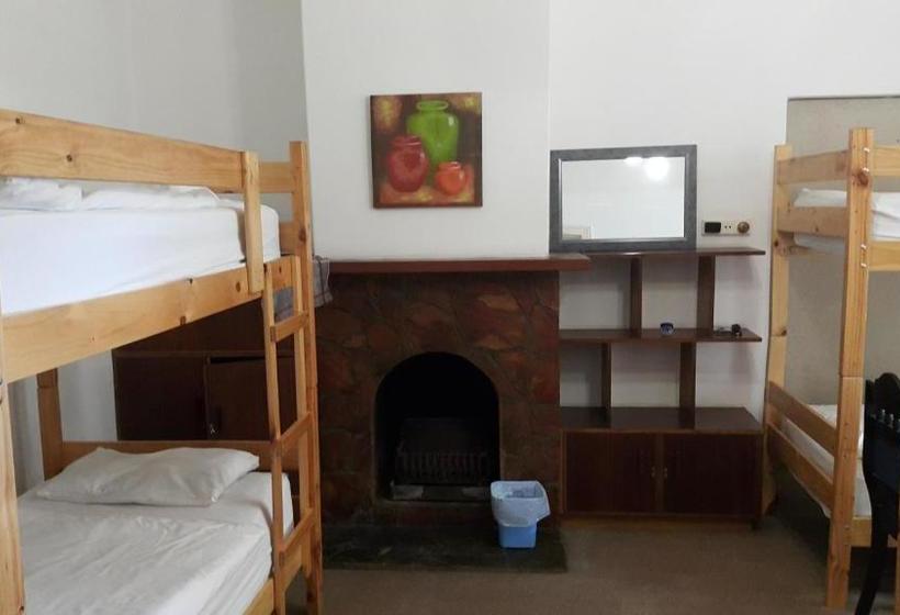 هاستل George Backpackers