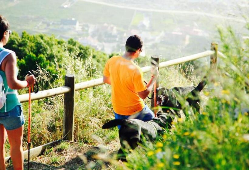 هاستل Ideas Peregrinas