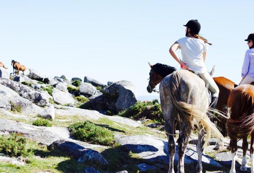 هاستل Ideas Peregrinas