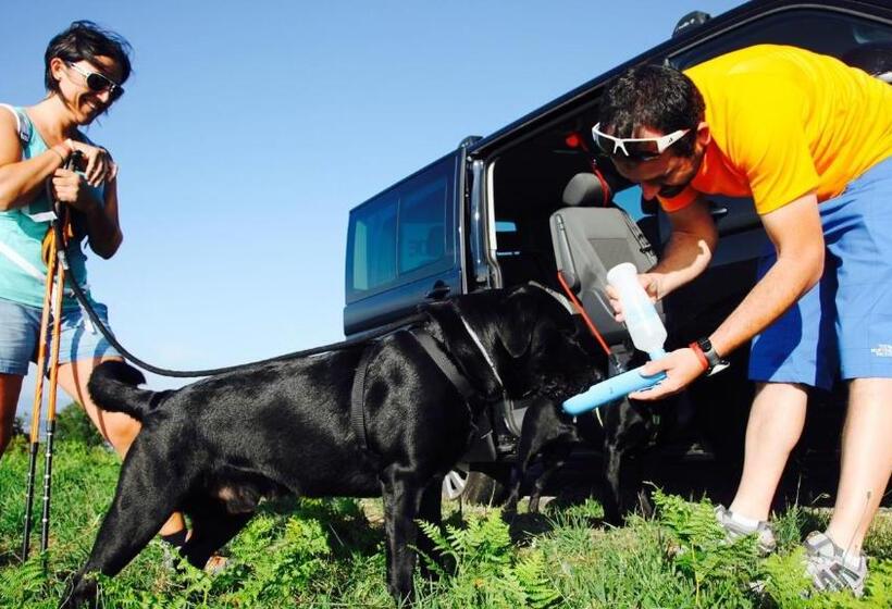 هاستل Ideas Peregrinas