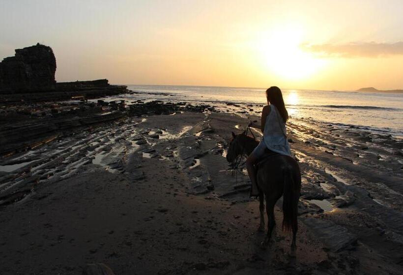 민박 Casitas Pacific