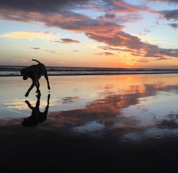 민박 Casitas Pacific