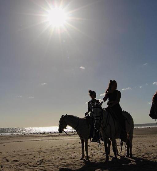 민박 Casitas Pacific