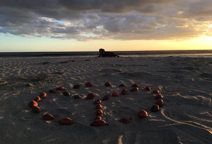 민박 Casitas Pacific