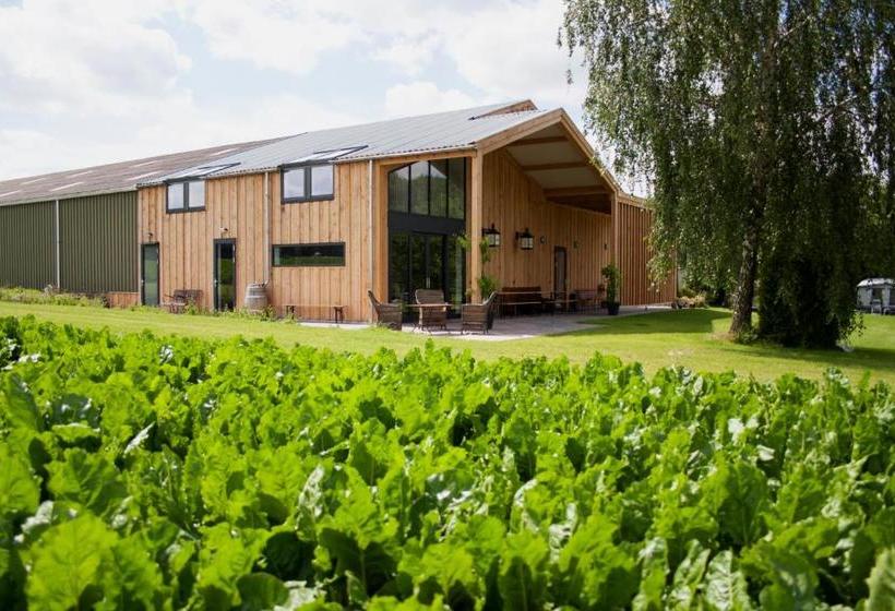 تختخواب و صبحانه Klein Amerika