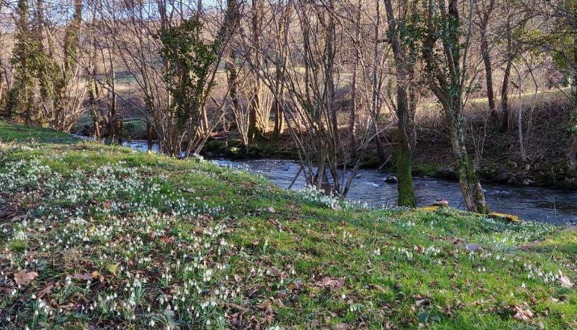 مبيت وإفطار La Ciboulette