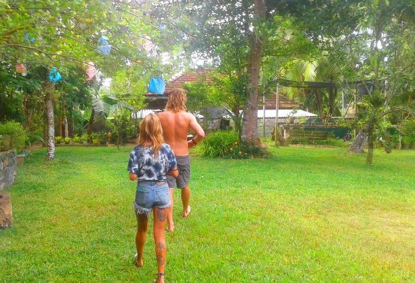 住宿加早餐 Nisala Villa Midigama