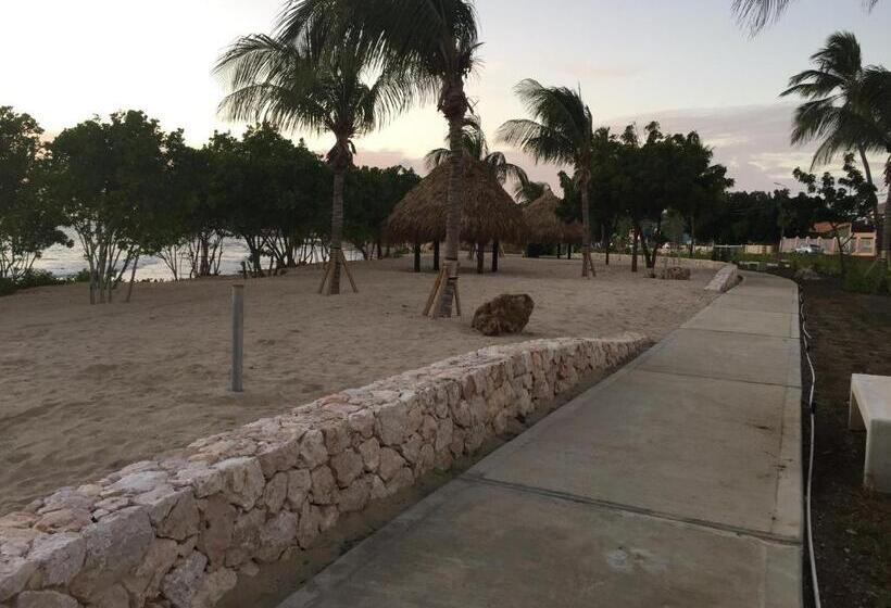 تختخواب و صبحانه The Pier Beach Inn & Suites