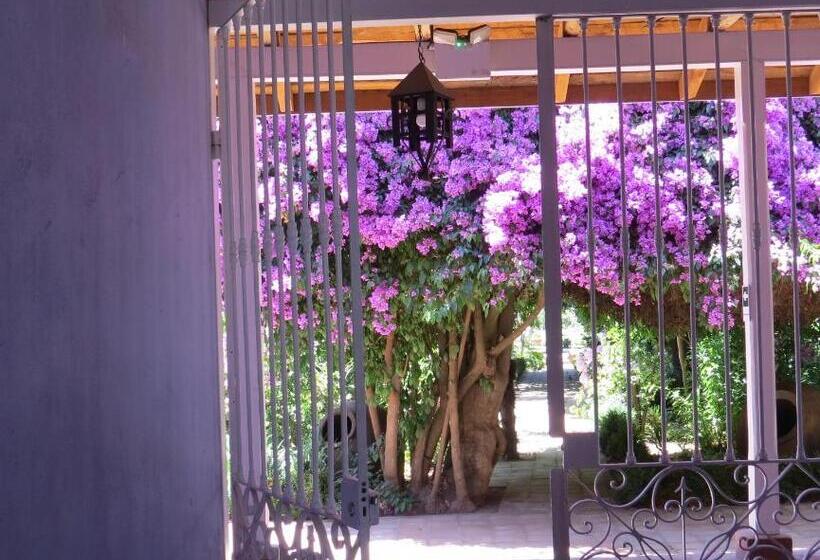 فندق Boutique Quinta Maria