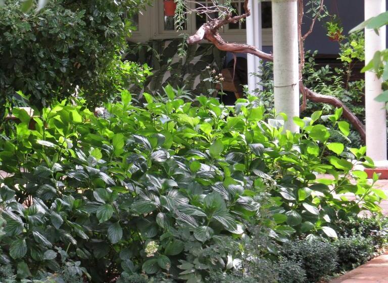 فندق Boutique Quinta Maria