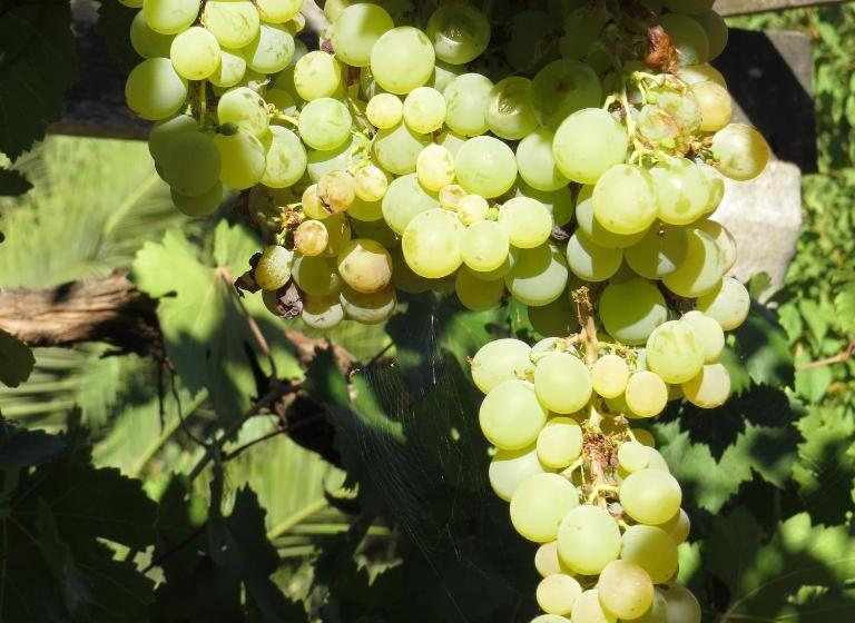 فندق Boutique Quinta Maria