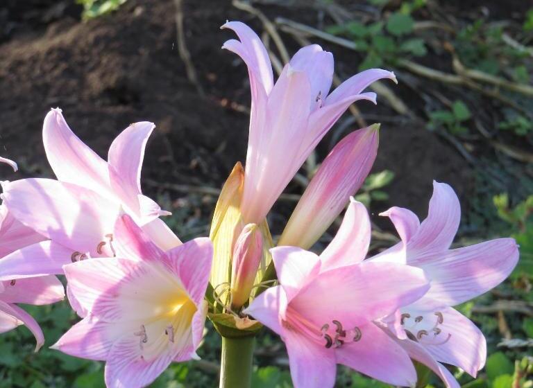 فندق Boutique Quinta Maria