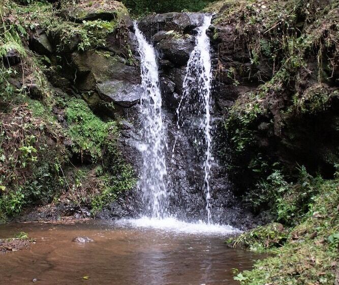 酒店 Campestre Daarlu