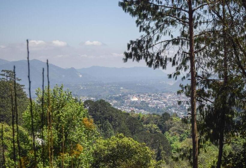 酒店 Campestre Daarlu