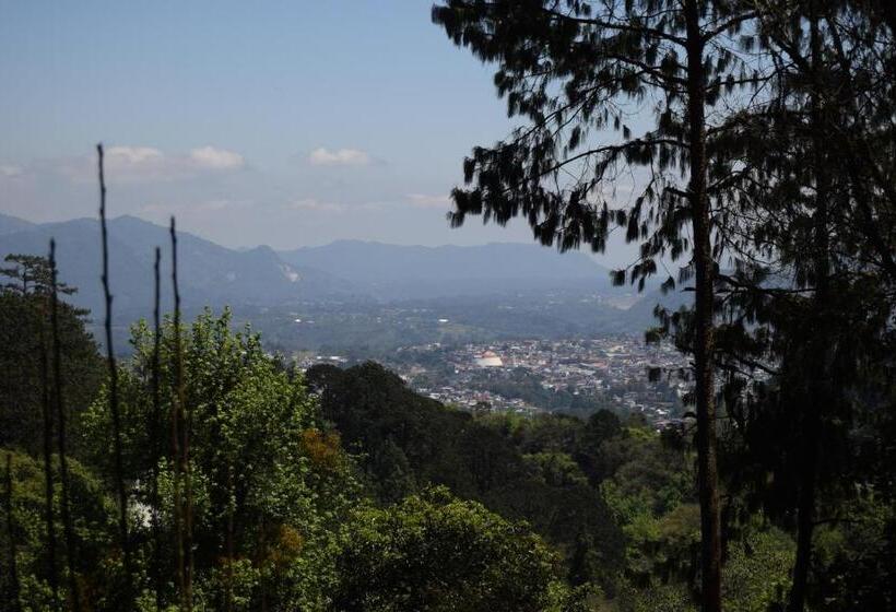 酒店 Campestre Daarlu