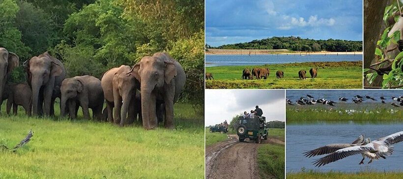 호텔 Cassandra Culture Resort