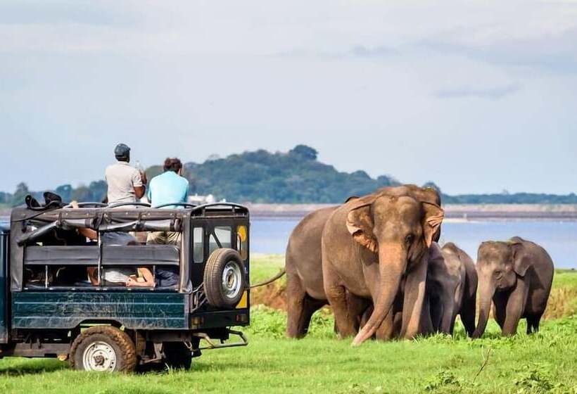 호텔 Cassandra Culture Resort