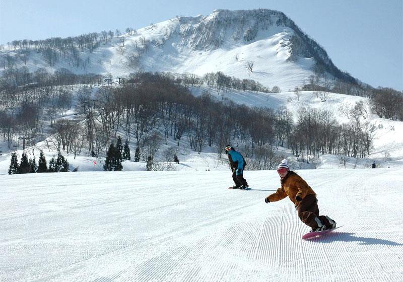 فندق Cupid Village