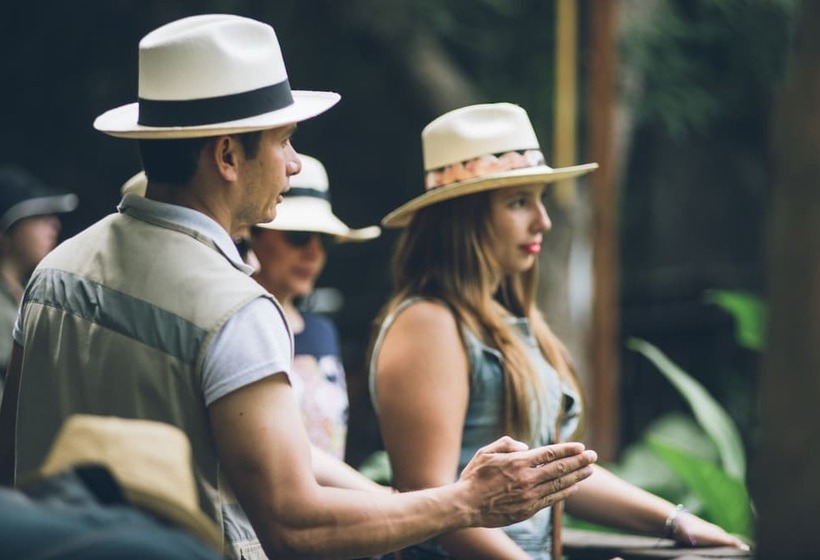 בית מלון כפרי Del Parque