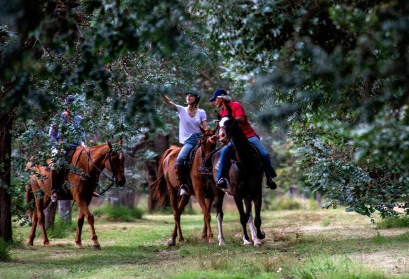 فندق Estancia La Sofia