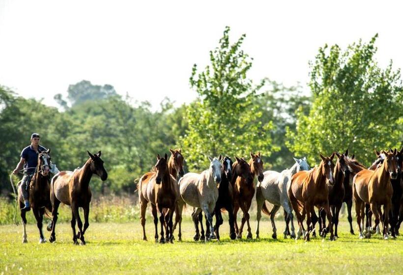 فندق Estancia La Sofia