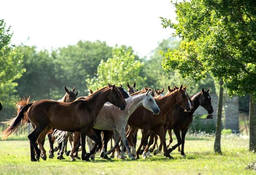 فندق Estancia La Sofia