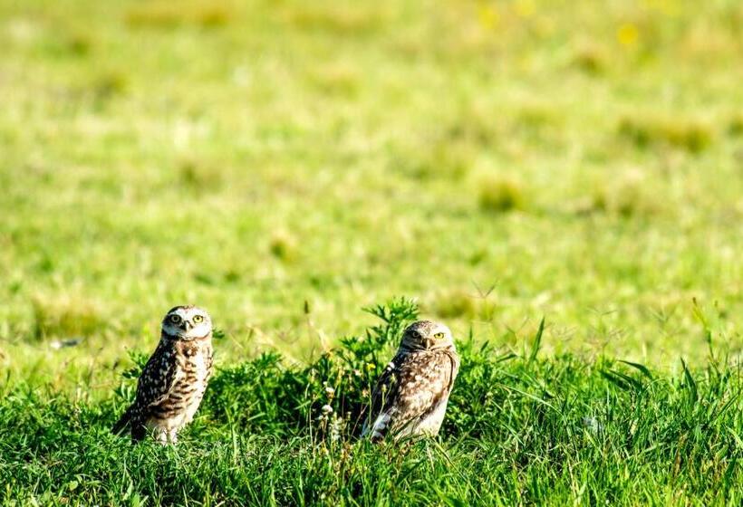 فندق Estancia La Sofia