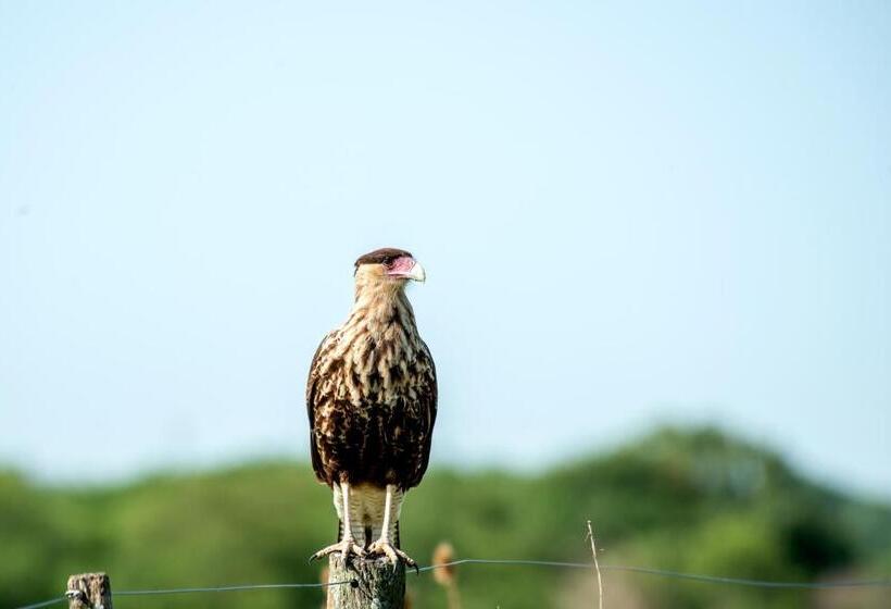 فندق Estancia La Sofia