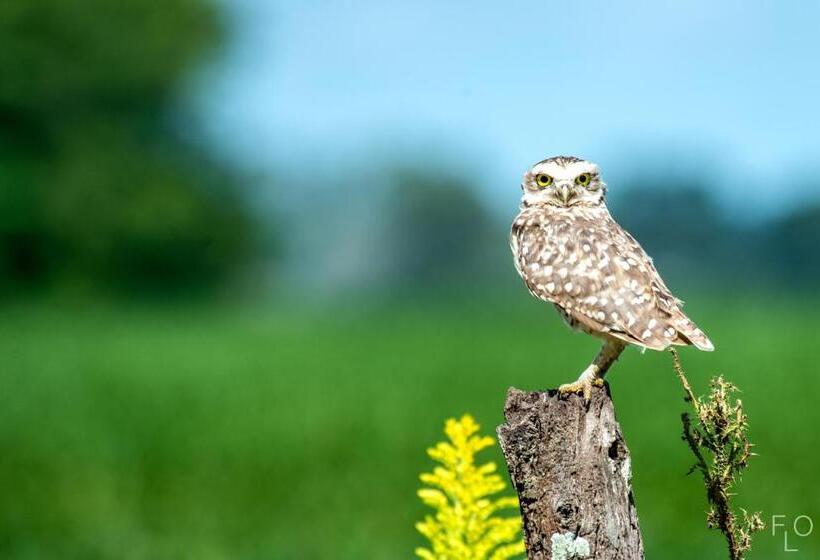 فندق Estancia La Sofia