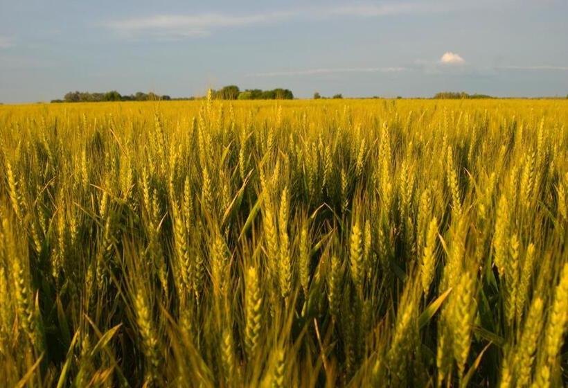 فندق Estancia La Sofia