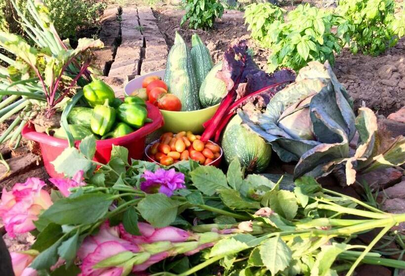 فندق Estancia La Sofia