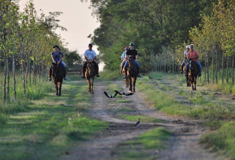 فندق Estancia La Sofia